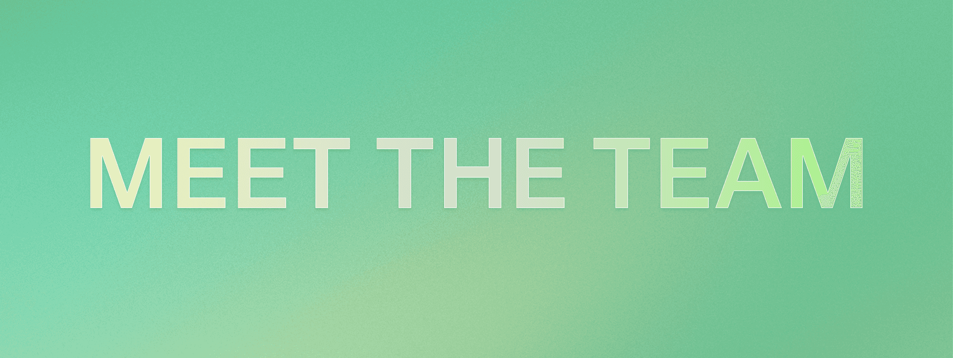 MEET THE TEAM BANNER 3